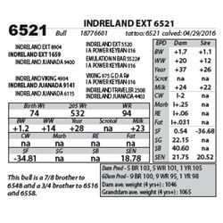 INDRELAND EXT 6521