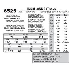 INDRELAND EXT 6525