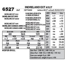 INDRELAND EXT 6527