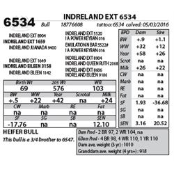 INDRELAND EXT 6534