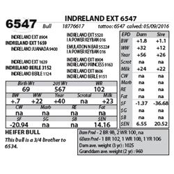 INDRELAND EXT 6547