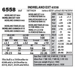 INDRELAND EXT 6558