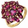 Image 1 : Sterling Silver Rhodolite Ring