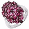 Image 1 : Sterling Silver Rhodolite Ring