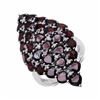 Image 1 : Sterling Silver Garnet Ring