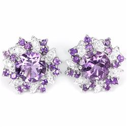 Natural Brazil Amethyst Stud Earrings