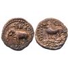 Image 1 : Ancient : Cholas