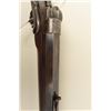 Image 13 : Remington Hepburn rifle with heavy octagon barrel in .40-70 Sharps