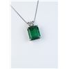 Image 2 : Elegant pendant featuring a 7.44 carat fern Green Emerald and