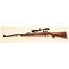 Image 6 : Whitworth Mauser bolt action sporting rifle, 7mm Remington Magnum caliber,