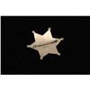 Image 3 : Vintage 6 point star with ball tips badge marked Deputy/Sierra