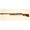 Image 6 : Winchester Model 50 semi-auto shotgun, 12 gauge, Serial #15894. The