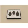 Image 2 : Riker case with 3 arrowheads and consignor note: Alaskan Eskimo/Yupik