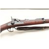 Image 3 : U.S. Springfield Trapdoor rifle, .45 caliber, blued finish with case