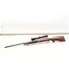 Image 7 : Winchester Model 70 XTR bolt action rifle, 7mm Rem. Mag.