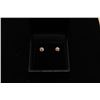 .60kt tw diamond earrings with 14kt wg. Est.: $600-$1200