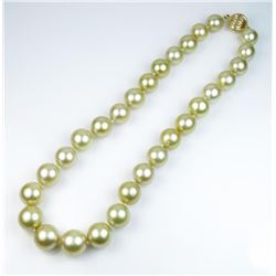 GOLDEN SOUTH SEA PEARLS