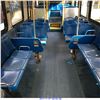 Image 7 : 2003 - NEW FLYER D40LF
