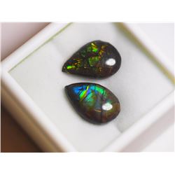 #27-2 GENUINE CANADIAN AMMOLITE TEAR SHAPED