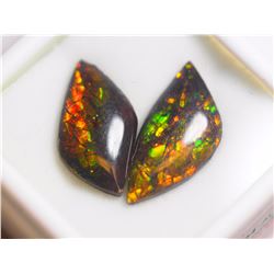 #34-GENUINE CANADIAN AMMOLITE 2 PIECES