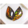 Image 1 : #34-GENUINE CANADIAN AMMOLITE 2 PIECES