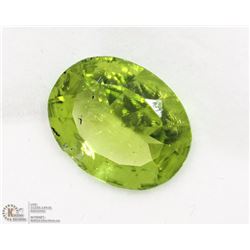 24) GENUINE LARGE OVAL PERIDOT GEMSTONE