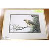 Image 1 : BROWN HAWK  BY ROBERT BATEMAN MATTED AND FRAMED