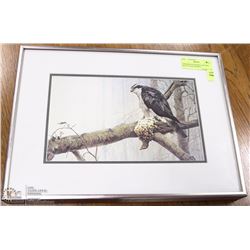 GOSHAWK BY ROBERT BATEMAN MATTED AND FRAMED