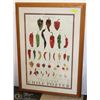 Image 1 : LARGE FRESCO (FRESH) CHILLIS PRINT IN MAPLE FRAME