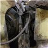 Image 13 : Cincinnati # 2 Centerless Grinder model 2M2HT
