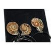 Image 2 : THREE AMMONITE PENDANTS