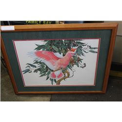 OAK FRAMED PARROT PICTURE