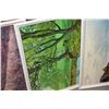 Image 3 : 3 COUNTRY SCENE FRAMED PRINTS