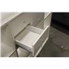 Image 3 : WHITE CUBICLE STORAGE CABINET