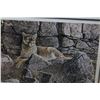 Image 2 : LIMITED EDITION PAUL RANKIN PRINT