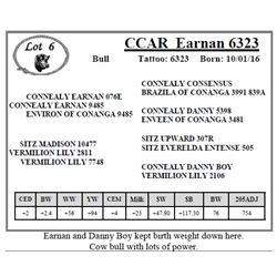 CCAR Earnan 6323