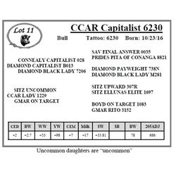 CCAR Capitalist 6230