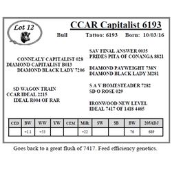 CCAR Capitalist 6193