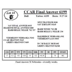 CCAR Final Answer 6199