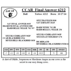 CCAR Final Answer 6212