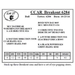 CCAR Breakout 6284