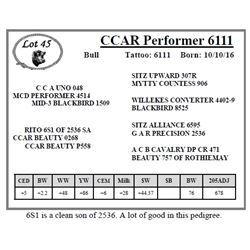 CCAR Performer 6111