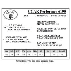 CCAR Performer 6190