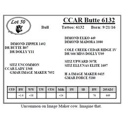 CCAR Butte 6132