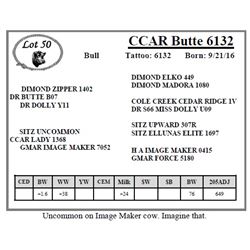 CCAR Butte 6132