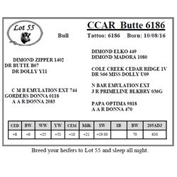 CCAR Butte 6186