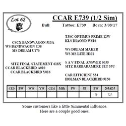 CCAR E739 (1/2 Sim)