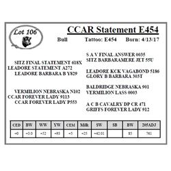 CCAR Statement E454