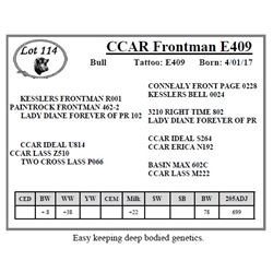 CCAR Frontman E409