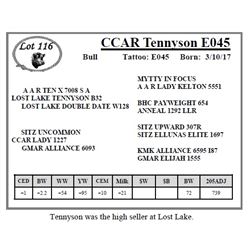 CCAR Tennyson E045